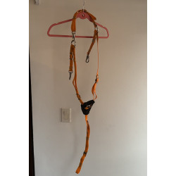 Pechera