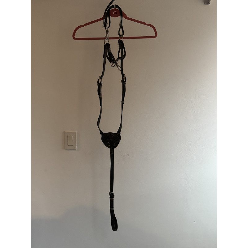 Pechera