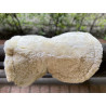 Pad